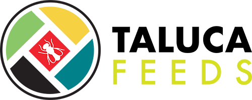 Taluca Feeds